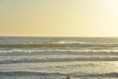 DSC_7250 (Large).JPG